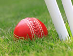 Cricket